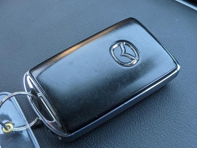 ＭＡＺＤＡ３ファストバック ２０Ｓプロアクティブ　ツーリングセレクション　純正ナビ　地デジＴＶ　ＥＴＣ　パワーシート　シートヒーター　ステアリングヒーター　ＣＤ　ＤＶＤ　ｂｌｕｅｔｏｏｔｈ　ＵＳＢ　ＨＤＭＩ　バックカメラ　レーダークルーズコントロール　純正１８インチアルミ（31枚目）