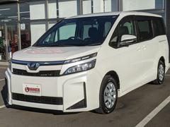 ż֤ݡȥζϽפǤǤŹǤϡͤôڸ뤿ˡȳǤä㤤󶡤Ƥޤ 3