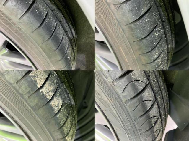 �u���̎Ԃ̎ʐ^�������ƌ������v�u��Ԃ��C�ɂȂ�v�u���̑����͂��Ă���H�v�ǂ�ȏ����ȋ^��ł����C�y�ɂ��₢���킹���������I