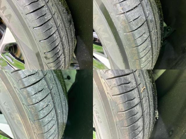 �u���̎Ԃ̎ʐ^�������ƌ������v�u��Ԃ��C�ɂȂ�v�u���̑����͂��Ă���H�v�ǂ�ȏ����ȋ^��ł����C�y�ɂ��₢���킹���������I