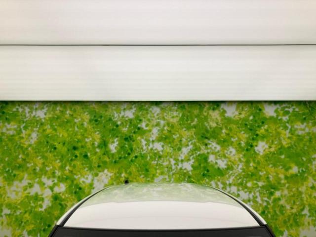 デイズ Ｘ　新品タイヤ／保証書／エマージェンシーブレーキ／アラウンドビューモニター／車線逸脱防止支援システム／ＥＢＤ付ＡＢＳ／横滑り防止装置／アイドリングストップ／エアバッグ　運転席／エアバッグ　助手席（52枚目）