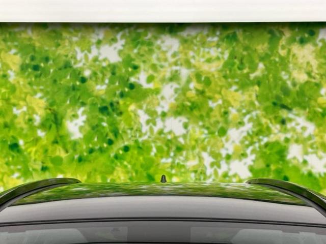 ＲＡＶ４ ４ＷＤ　Ｇ　サンルーフ／保証書／ディスプレイオーディオ＋ナビ／衝突安全装置／シートヒーター　前席／車線逸脱防止支援システム／電動バックドア／ドライブレコーダー　社外／ヘッドランプ　ＬＥＤ　衝突被害軽減システム（54枚目）