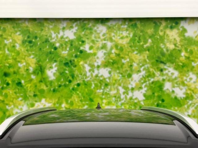 WR-V Zプラス 保証書/ディスプレイオーディオ/車線逸脱防止支援システム/ヘッドランプ LED/USBジャック/Bluetooth接続/HDMI接続/ETC/EBD付ABS/横滑り防止装置/クルーズコントロール(51枚目)