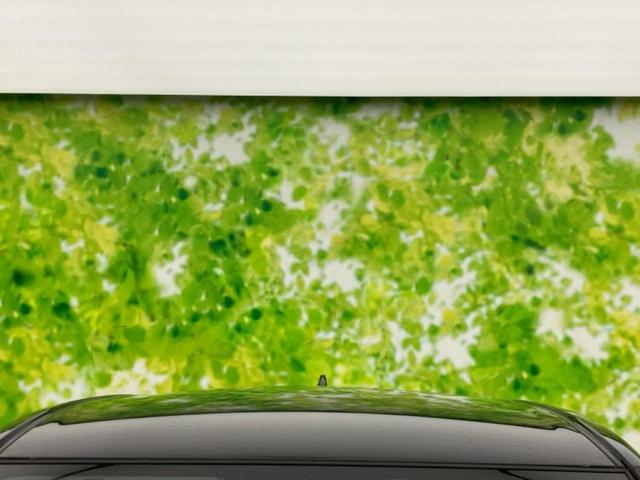 ライズ Z 新品タイヤ/保証書/ディスプレイオーディオ8インチ/衝突安全装置/シートヒーター 前席/パノラミックビューモニター/車線逸脱防止支援システム/ドライブレコーダー 社外/ヘッドランプ LED TV(53枚目)