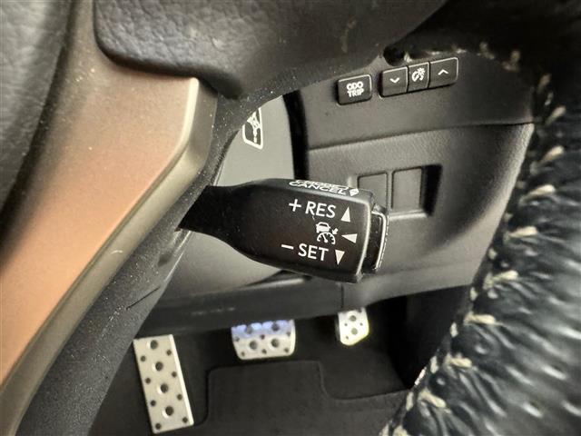 ＮＸ ＮＸ２００ｔ　Ｆスポーツ　純正ＳＤナビ（ＣＤ／ＤＶＤ／ＳＤ／Ｂｌｕｅｔｏｏｔｈ／ＵＳＢ）バックカメラ　横滑り防止措置　衝突軽減システム　クルーズコントロール　コーナーセンサー　パワーバックドア　レザーシート　シートヒーター（22枚目）