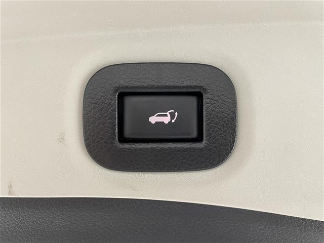 エクストレイル 純正SDナビ(CD/DVD/フルセグTV) バックカメラ アラウンドビューモニター プロパイロット エマージェンシーブレーキ ブラインドスポットモニター パワーバックドア ドライブレコーダー(26枚目)