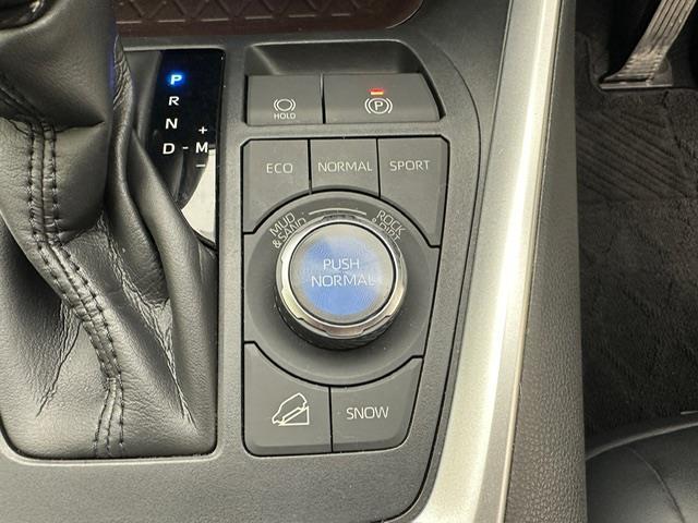 RAV4 G Zパッケージ 純正9インチナビ フルセグ CD DVD BT MSV HDMI バックカメラ ビルトインETC パワーバックドア TRDエアロ レーダークルーズコントロール プリクラッシュセーフティー デジミラー(6枚目)