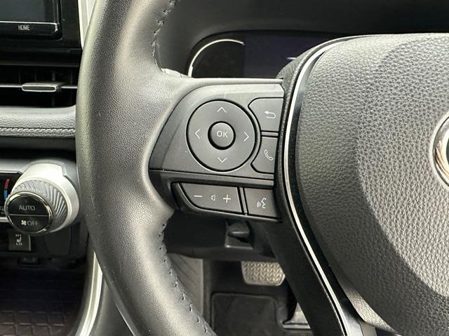 RAV4 G Zパッケージ 純正9インチナビ フルセグ CD DVD BT MSV HDMI バックカメラ ビルトインETC パワーバックドア TRDエアロ レーダークルーズコントロール プリクラッシュセーフティー デジミラー(14枚目)