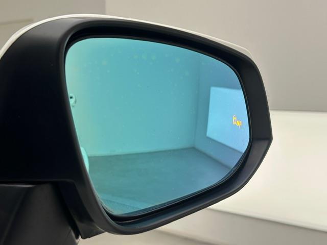 RAV4 G Zパッケージ 純正9インチナビ フルセグ CD DVD BT MSV HDMI バックカメラ ビルトインETC パワーバックドア TRDエアロ レーダークルーズコントロール プリクラッシュセーフティー デジミラー(28枚目)