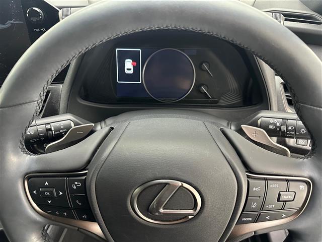 ＵＸ ＵＸ２５０ｈ　バージョンＣ　純正メーカーＯＰナビ　全方位カメラ　社外前後ドライブレコーダー　追従クルーズコントロール　パドルシフト　オートホールド付電子パーキングブレーキ　ハンドルヒーター　パワーシート　シートヒーター　ＥＴＣ（24枚目）