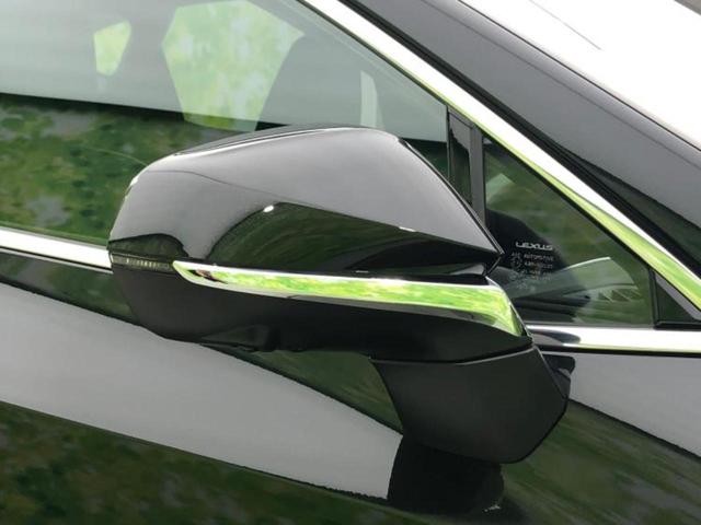 NX NX250バージョンL サンルーフ/エアロ/保証書/純正 SDナビ/デジタルインナーミラー/衝突安全装置/シートヒーター/車線逸脱防止支援システム/シート フルレザー/電動バックドア/ヘッドランプ LED/ETC 革シート(47枚目)