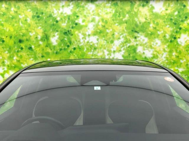 NX NX250バージョンL サンルーフ/エアロ/保証書/純正 SDナビ/デジタルインナーミラー/衝突安全装置/シートヒーター/車線逸脱防止支援システム/シート フルレザー/電動バックドア/ヘッドランプ LED/ETC 革シート(53枚目)