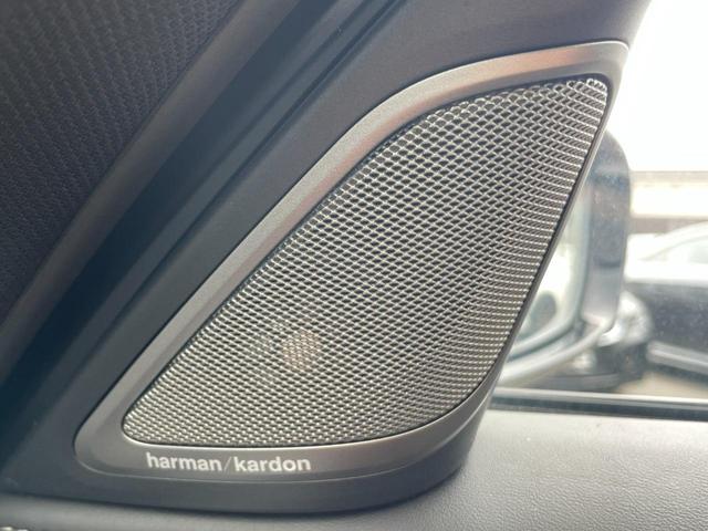 ７シリーズ ７４０ｅアイパフォーマンス　Ｍスポーツ　茶革シート　サンルーフ　ｈａｒｍａｎ／ｋａｒｄｏｎ　アダプティブクルーズコントロール　シートヒーター／ベンチレーション　純正ナビ　３６０°カメラ　ＢＭＷレーザーライト　アンビエントライト　ＨＵＤ（26枚目）