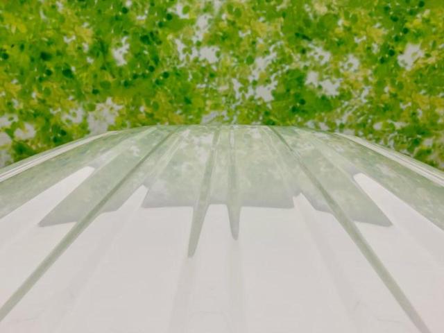 Ｎ－ＢＯＸ Ｇ・Ｌホンダセンシング　新品タイヤ／保証書／純正　８インチ　ナビ／ホンダセンシング／両側電動スライドドア／車線逸脱防止支援システム／ドライブレコーダー　前後／ヘッドランプ　ＬＥＤ／Ｂｌｕｅｔｏｏｔｈ接続／ＥＴＣ　バックカメラ（53枚目）