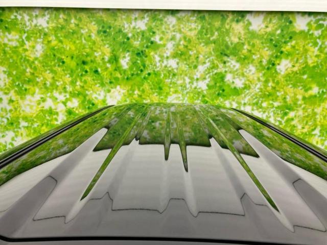 N-BOX ヒョウジュン 保証書/ディスプレイオーディオ8インチ/ホンダセンシング/電動スライドドア/車線逸脱防止支援システム/ヘッドランプ LED/EBD付ABS/横滑り防止装置/アイドリングストップ 衝突被害軽減システム(48枚目)