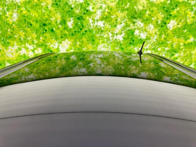 ルーミー カスタムＧ　新品タイヤ／ディスプレイオーディオ９インチ／スマートアシスト（トヨタ・ダイハツ）／両側電動スライドドア／車線逸脱防止支援システム／ヘッドランプ　ＬＥＤ／Ｂｌｕｅｔｏｏｔｈ接続／ＥＴＣ　バックカメラ（49枚目）