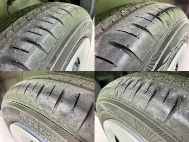 �u���̎Ԃ̎ʐ^�������ƌ������v�u��Ԃ��C�ɂȂ�v�u���̑����͂��Ă���H�v�ǂ�ȏ����ȋ^��ł����C�y�ɂ��₢���킹���������I