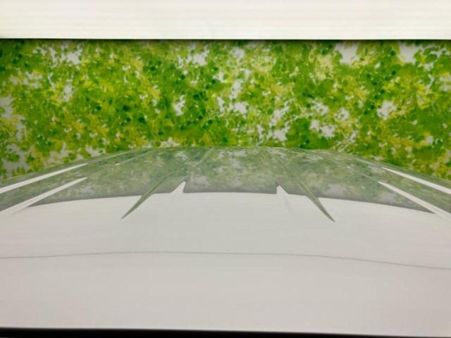 セレナ ｅパワーＸＶ　保証書／純正　１０インチ　ナビ／インテリジェントルームミラー／エマージェンシーブレーキ／両側電動スライドドア／アラウンドビューモニター／車線逸脱防止支援システム／プロパイロット／オートステップ　禁煙車（51枚目）