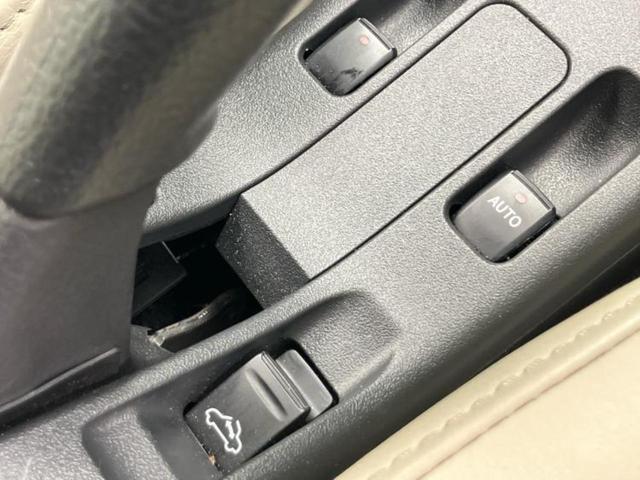 �u���̎Ԃ̎ʐ^�������ƌ������v�u��Ԃ��C�ɂȂ�v�u���̑����͂��Ă���H�v�ǂ�ȏ����ȋ^��ł����C�y�ɂ��₢���킹���������I