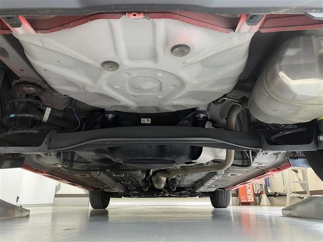 �������猩�������̉摜�ł��I