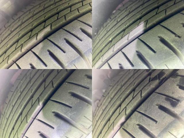 �u���̎Ԃ̎ʐ^�������ƌ������v�u��Ԃ��C�ɂȂ�v�u���̑����͂��Ă���H�v�ǂ�ȏ����ȋ^��ł����C�y�ɂ��₢���킹���������I