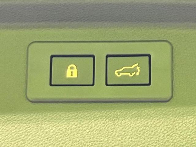 フォレスター ４ＷＤアドバンス　純正　ＳＤナビ／デジタルインナーミラー／衝突安全装置／シートヒーター　前席／車線逸脱防止支援システム／電動バックドア／ドライブレコーダー　純正／ヘッドランプ　ＬＥＤ／ＵＳＢジャック　ＬＥＤヘッドランプ（24枚目）