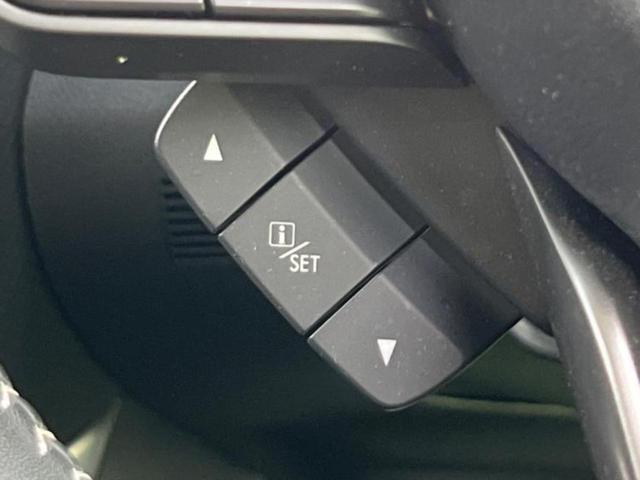 フォレスター ４ＷＤアドバンス　純正　ＳＤナビ／デジタルインナーミラー／衝突安全装置／シートヒーター　前席／車線逸脱防止支援システム／電動バックドア／ドライブレコーダー　純正／ヘッドランプ　ＬＥＤ／ＵＳＢジャック　ＬＥＤヘッドランプ（30枚目）