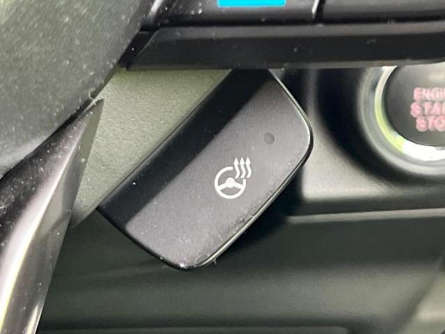 フォレスター ４ＷＤアドバンス　純正　ＳＤナビ／デジタルインナーミラー／衝突安全装置／シートヒーター　前席／車線逸脱防止支援システム／電動バックドア／ドライブレコーダー　純正／ヘッドランプ　ＬＥＤ／ＵＳＢジャック　ＬＥＤヘッドランプ（31枚目）