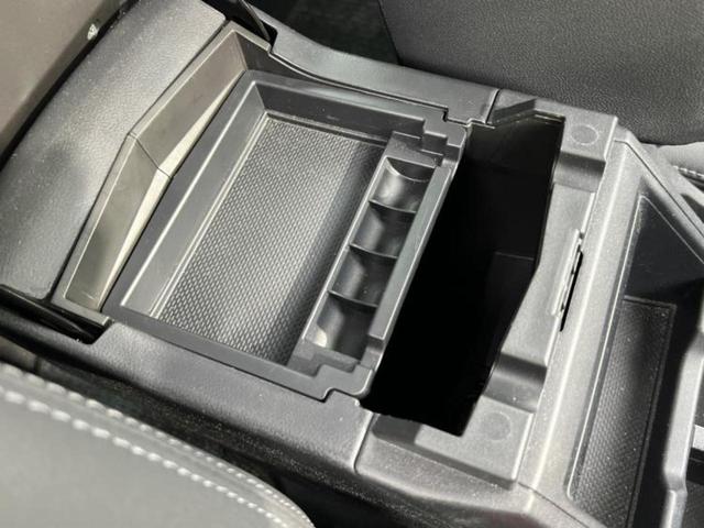 フォレスター ４ＷＤアドバンス　純正　ＳＤナビ／デジタルインナーミラー／衝突安全装置／シートヒーター　前席／車線逸脱防止支援システム／電動バックドア／ドライブレコーダー　純正／ヘッドランプ　ＬＥＤ／ＵＳＢジャック　ＬＥＤヘッドランプ（35枚目）