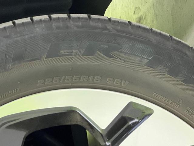 フォレスター ４ＷＤアドバンス　純正　ＳＤナビ／デジタルインナーミラー／衝突安全装置／シートヒーター　前席／車線逸脱防止支援システム／電動バックドア／ドライブレコーダー　純正／ヘッドランプ　ＬＥＤ／ＵＳＢジャック　ＬＥＤヘッドランプ（53枚目）