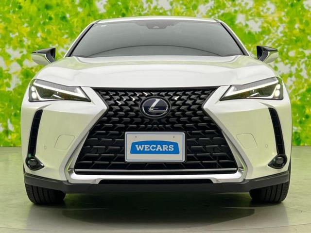 ＵＸ ＵＸ２５０ｈバージョンＣ　サンルーフ／保証書／純正　ＳＤナビ／衝突安全装置／シートヒーター　前席／車線逸脱防止支援システム／シート　合皮／電動バックドア／ヘッドランプ　ＬＥＤ／ＵＳＢジャック／Ｂｌｕｅｔｏｏｔｈ接続　電動シート（46枚目）