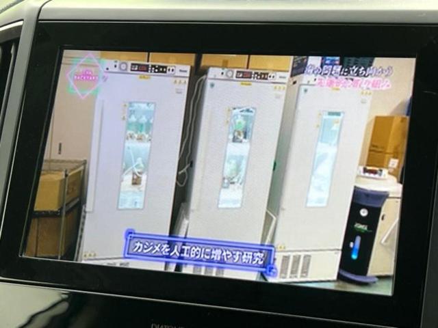 フォレスター ４ＷＤアドバンス　新品タイヤ／保証書／純正　８インチ　ＳＤナビ／衝突安全装置／シートヒーター　全席／車線逸脱防止支援システム／シート　ハーフレザー／電動バックドア／ドライブレコーダー　純正／ヘッドランプ　ＬＥＤ　４ＷＤ（13枚目）