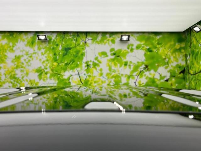 Ｎ－ＢＯＸカスタム ヒョウジュン　保証書／衝突安全装置／電動スライドドア／シートヒーター　前席／車線逸脱防止支援システム／ヘッドランプ　ＬＥＤ／ＥＢＤ付ＡＢＳ／横滑り防止装置／アイドリングストップ／ホンダセンシング／禁煙車（46枚目）