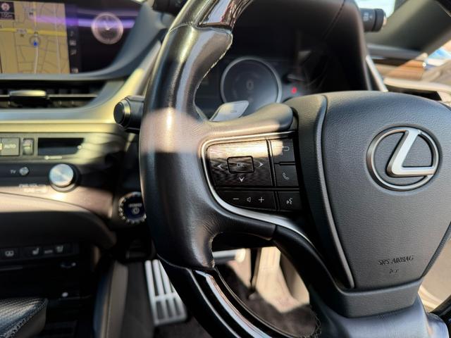 ＥＳ ＥＳ３００ｈ　バージョンＬ　エイムゲインエアロ　社外２０インチＡＷ　サンルーフ　黒革シート　３眼ＬＥＤライト　カラーＨＵＤ　ＢＳＭ　レクサスセーフティ　純正ナビ　パノラマミックビューモニター　後席リクライニング　後席サンシェード（22枚目）