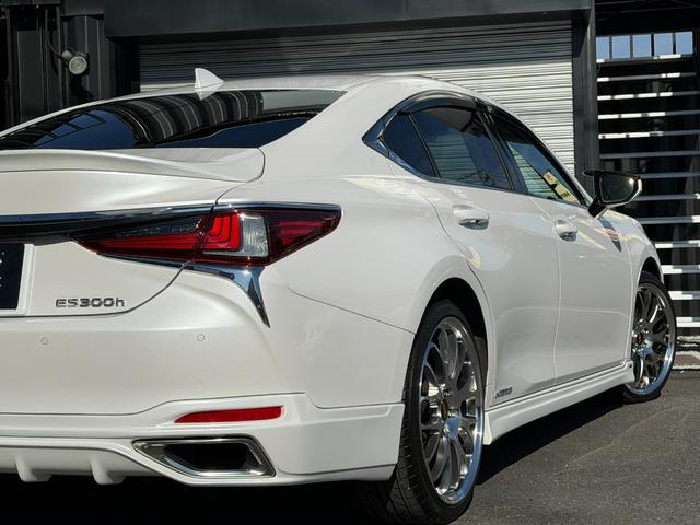 ＥＳ ＥＳ３００ｈ　バージョンＬ　エイムゲインエアロ　社外２０インチＡＷ　サンルーフ　黒革シート　３眼ＬＥＤライト　カラーＨＵＤ　ＢＳＭ　レクサスセーフティ　純正ナビ　パノラマミックビューモニター　後席リクライニング　後席サンシェード（31枚目）