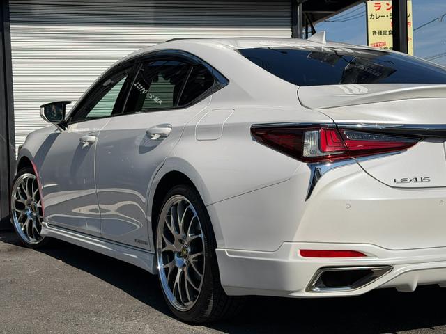 ＥＳ ＥＳ３００ｈ　バージョンＬ　エイムゲインエアロ　社外２０インチＡＷ　サンルーフ　黒革シート　３眼ＬＥＤライト　カラーＨＵＤ　ＢＳＭ　レクサスセーフティ　純正ナビ　パノラマミックビューモニター　後席リクライニング　後席サンシェード（36枚目）