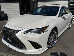 �ţ� �ţӣ������衡�С������̡������ॲ���󥨥������ҳ�������������ס�����롼�� 0503609A30251124W001 6