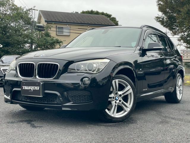 X1 sDrive18i_Mスポーツ 純正ナビ バックカメラ テレビ 純正アルミ LEDヘッドライト オートエアコン 純正etc キーレス パワーステアリング パワーウィンドウ(9枚目)