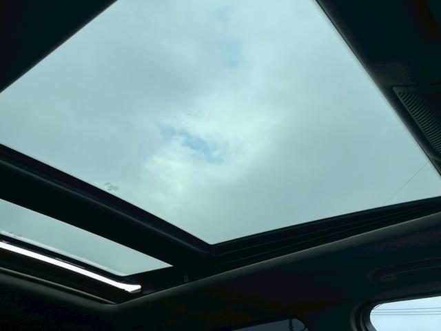 Ｘ５ 　ｘＤｒｉｖｅ　３５ｉ　ナビ　テレビ　バックモニター　サンルーフ　プッシュスタート　オートエアコン　純正１８インチアルミホイール（44枚目）