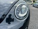 VOLKSWAGEN THE BEETLE