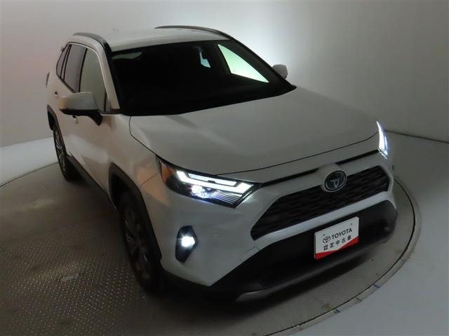 ＲＡＶ４ ハイブリッドＧ　コネクティッドナビ　パノラマビューモニター　ＣＯＸボディーダンパー　パワーバックドア　ＬＥＤヘッドライト　純正アルミホイール付き！！（10枚目）