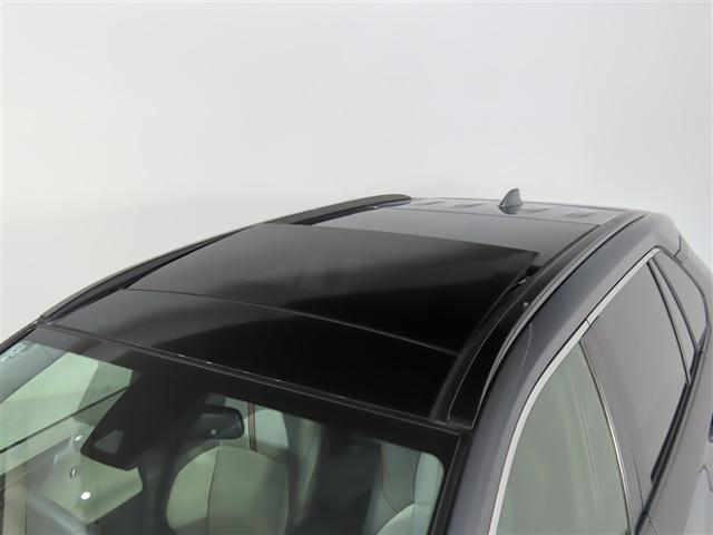 ＲＡＶ４ ハイブリッドアドベンチャー（6枚目）