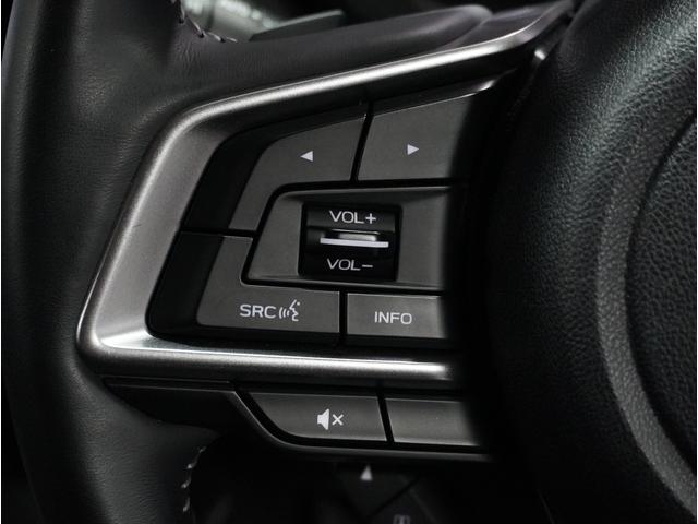 フォレスター アドバンス アイサイト 8インチナビ 純正ドラレコ(30枚目)