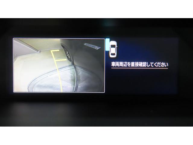 フォレスター AdvanceEyeSight 視界拡張 PWリヤゲート搭載(31枚目)