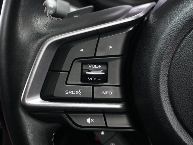 フォレスター XT-エディション PWリヤゲート STIマフラー装着(23枚目)