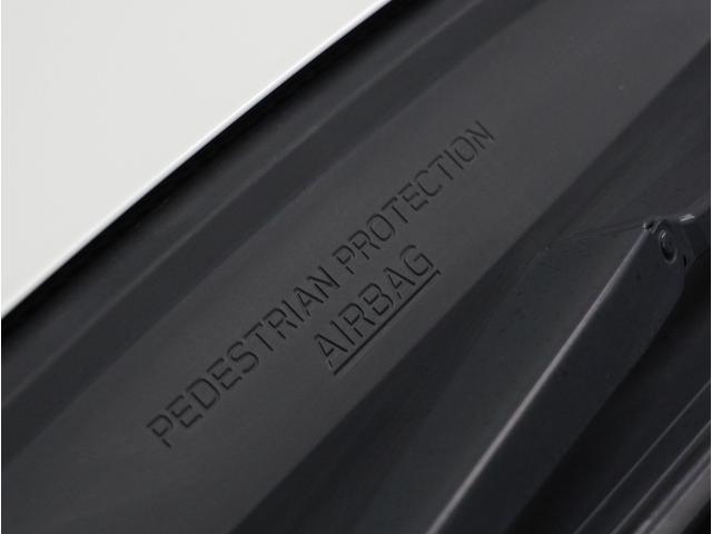 フォレスター Advance EyeSight 視界拡張 ルーフレール(49枚目)