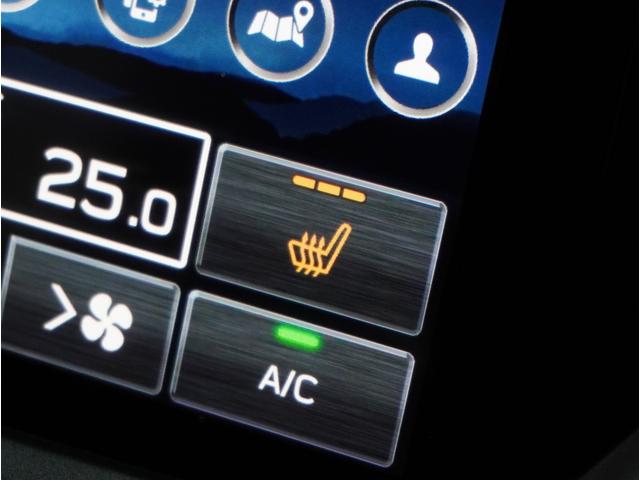 レヴォーグ レイバック リミテッド EX 本革シート 純正フルエアロスポイラー(32枚目)