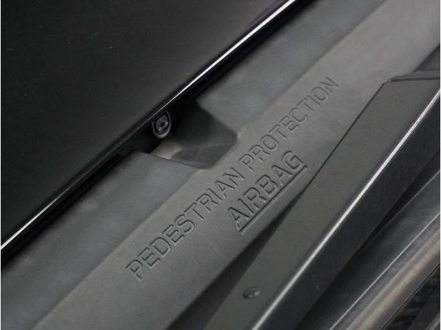 レヴォーグ レイバック リミテッド EX 本革シート 純正フルエアロスポイラー(49枚目)