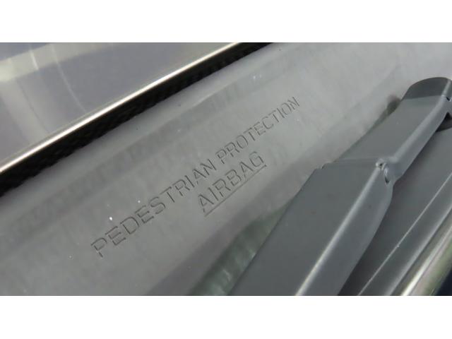 フォレスター Premium 本革シート 視界拡張 PWリヤゲート搭載(51枚目)