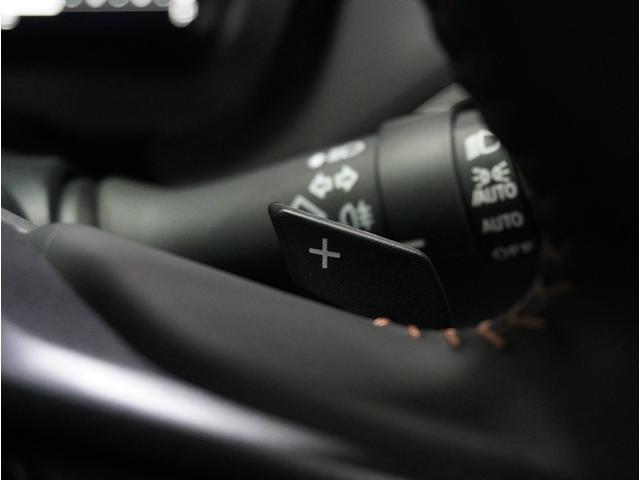 レヴォーグ レイバック リミテッドEX 本革シート スマートリヤビューミラー搭載(30枚目)